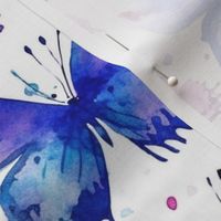 watercolor butterflies in blue and magenta 