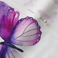 watercolor butterflies in magenta and purple and teal