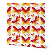 watercolor butterflies in yellow and red