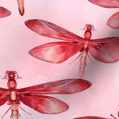 splatter art watercolor dragonflies in red 