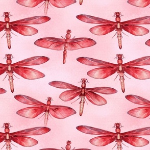 splatter art watercolor dragonflies in red 