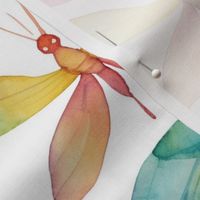 watercolor dragonflies in rainbow hues