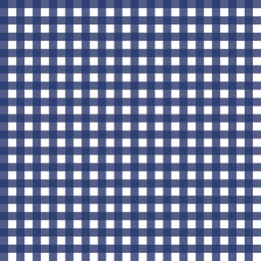Checks / Checkerbord Starry Night Blue / Benjamin Moore