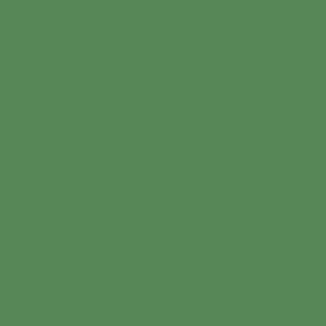 Fern Green  Plain Solid #578757