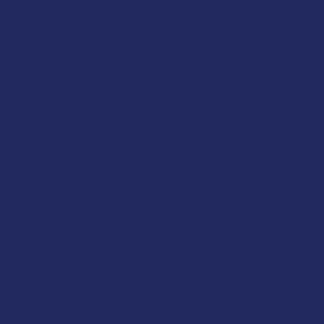 Cloud Burst Nile Blue Solid Deep Sapphire Midnight Plain