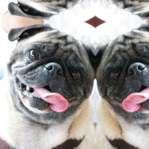 PUGS GALORE!   by  Kaylah MARIE 