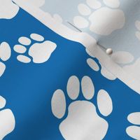 Paws on blue