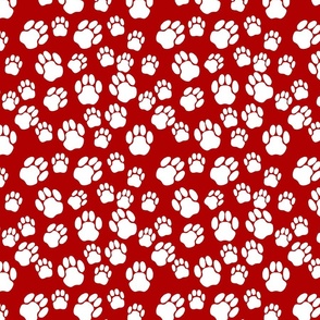 White paw on red