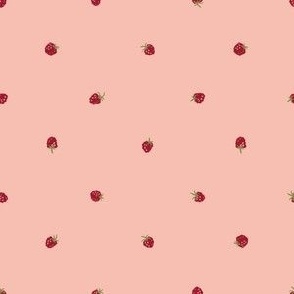 XXS ✹ Pink Hand Drawn Raspberries