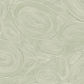 concentric doodle _ creamy white_ light sage green _ line