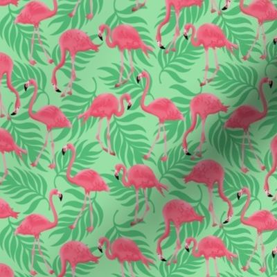 Small Tropical Flamingos on Palm Leaves