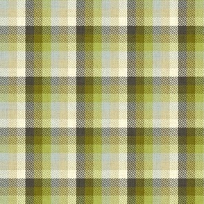 Marlene Plaid Check Olive Ombre