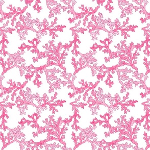 Pink Coral, Beach Wallpaper, Ocean, Nautical, Coastal Decor