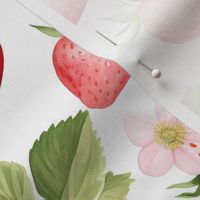 Fresh Juicy Strawberries / Watercolor