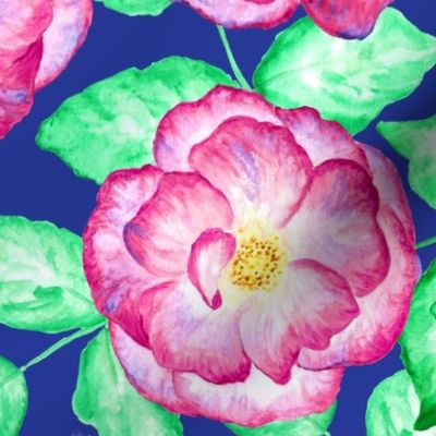 Watercolor roses on  dark blue background