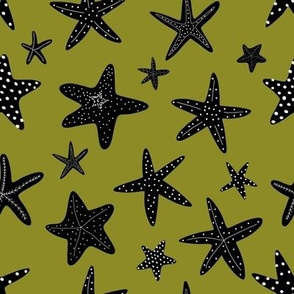 starfish 8x8 1starfishblack11