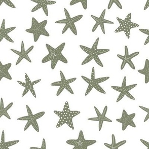 starfish 8x8 2star1