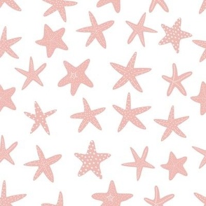 starfish 8x8 2star3