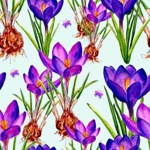 Purple Crocus Bulbs with Little Butterflies - (L)