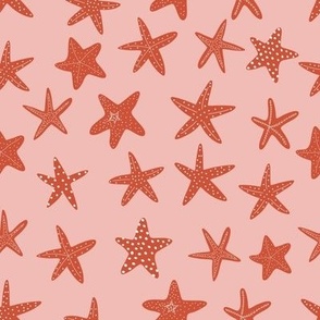 starfish 8x8 2star5-1