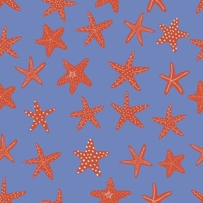 starfish 8x8 2star5-5