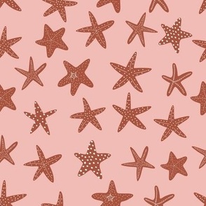 starfish 8x8 2star7-1