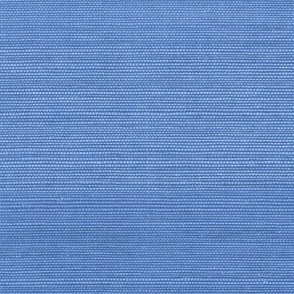 Solid Faux Grasscloth in Cornflower Blue copy