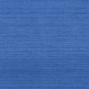 Solid Faux Grasscloth in Cobalt Blue copy