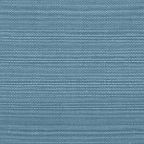 Solid Faux Grasscloth in Buckland  Blue Blue copy