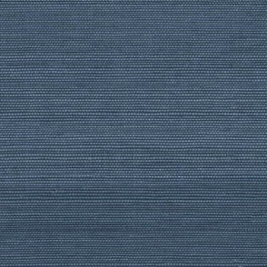 Solid Faux Grasscloth in Van Duessen Blue copy