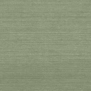 Solid Faux Grasscloth in Sherwood Green copy