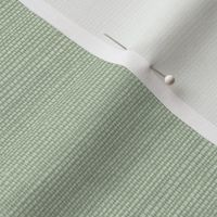 Solid Faux Grasscloth in Van ALen Green copy