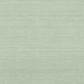 Solid Faux Grasscloth in Van ALen Green copy