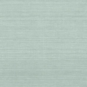 Solid Faux Grasscloth in Palladian Blue copy