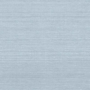 Solid Faux Grasscloth in Soft Blue copy