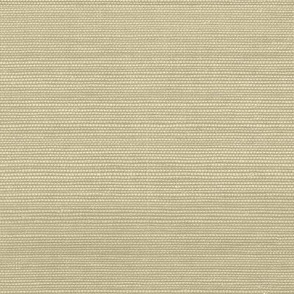 Solid Faux Grasscloth in Tan copy