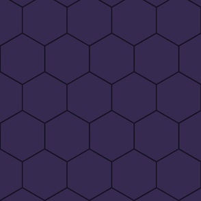 hexagon_blackberry_purple