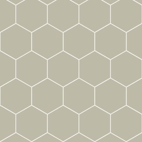 hexagon_tile_b3b09b_taupe