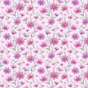 Cosmos Aster pink floral