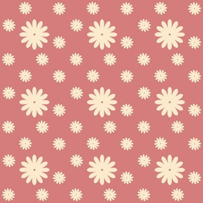 Cheerful daisy - pink and yellow