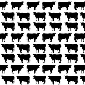 small black and white cows