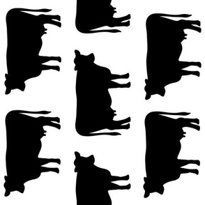 rotated black and white cows