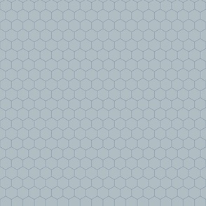 hexagon_blue-gray_b0bec4