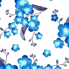 Forget-me-not flowers, Blue with gray leaves on a white background