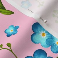 Forget-me-not flowers, Light blue with green leaves on a pink background