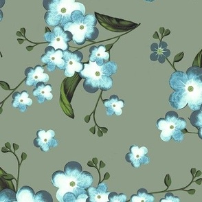 Forget-me-not flowers, Light blue with gray-green leaves on a gray-green background