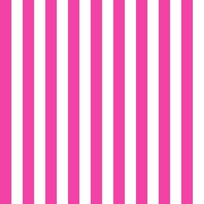 Barbie fuchsia stripe 2x2