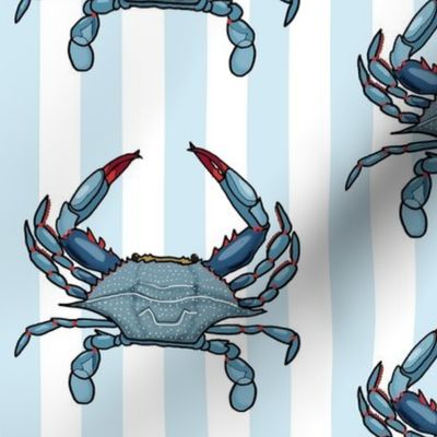 Chesapeake blue crab 6x6 blue stripe