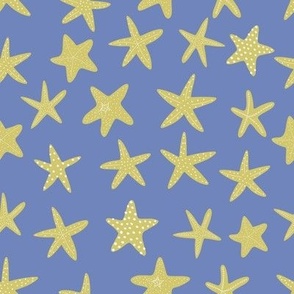 starfish 8x8 2star13