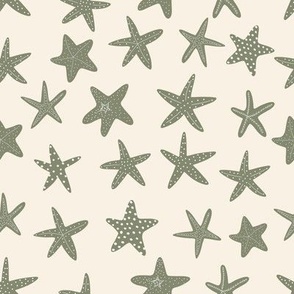 starfish 8x8 2star15